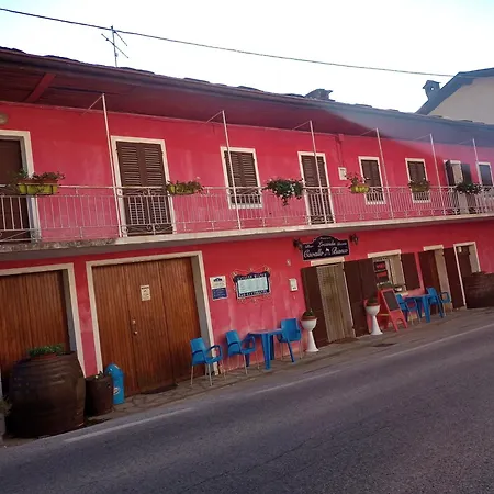 Le Primule
