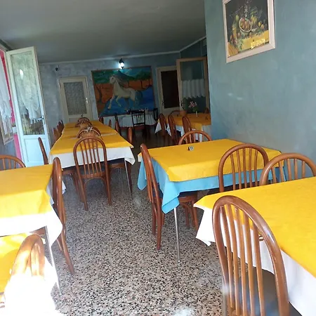 Le Primule * Macra